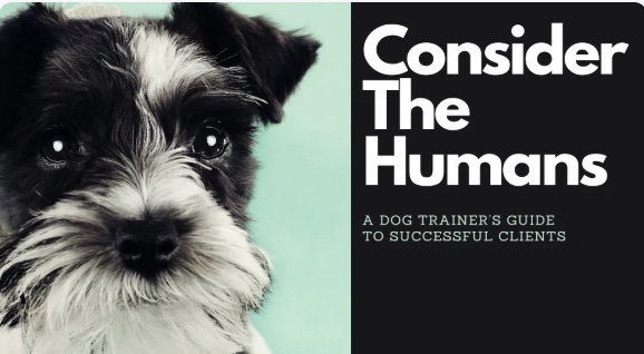 Black and white dog with curious eyes next to the text 